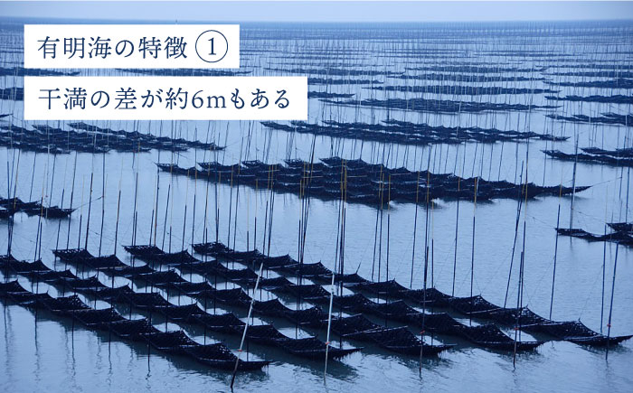 海苔 のり 焼き海苔 佐賀