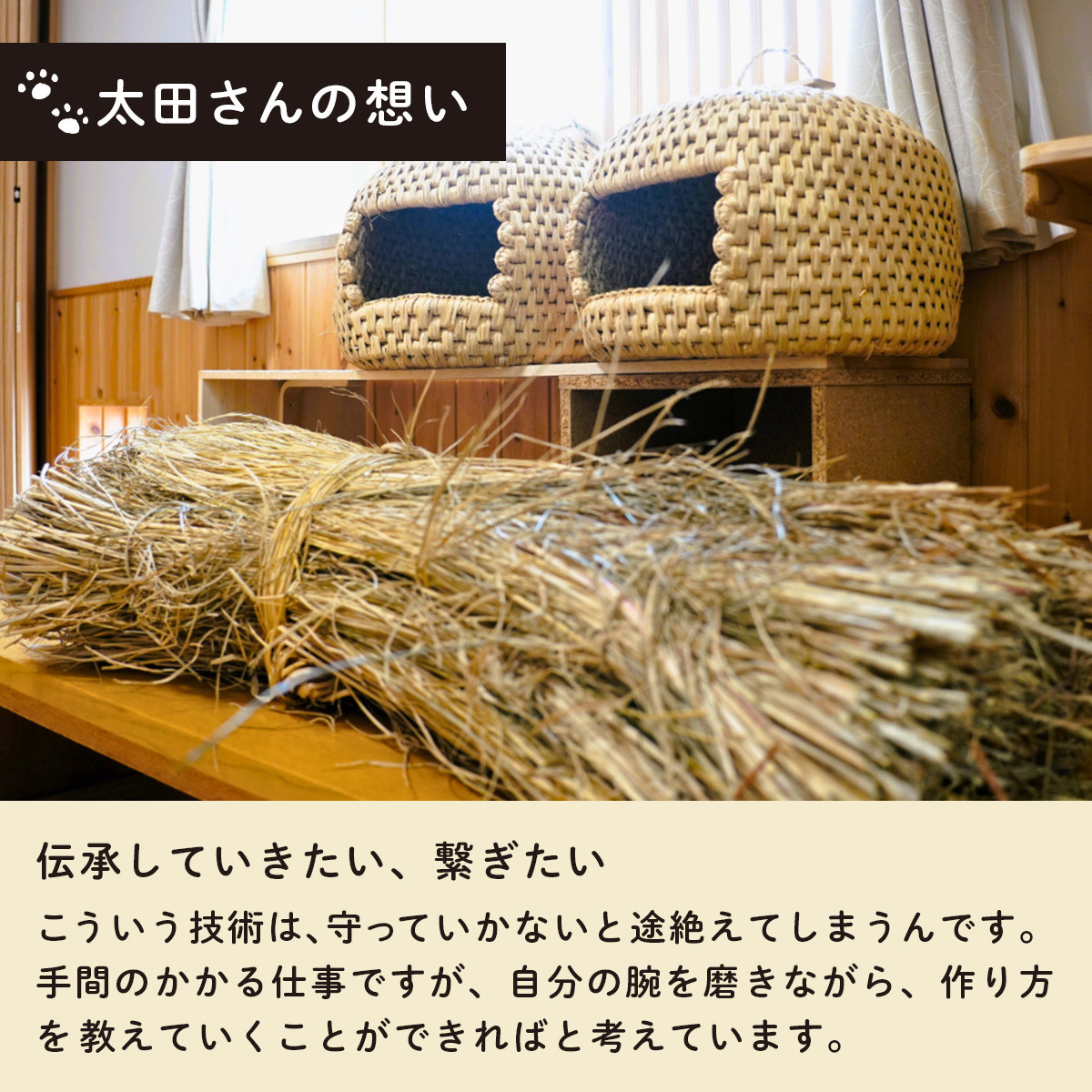 ご使用いただいている方のご厚意で使用しているお写真をいただきました！2匹で順番に使用しているそうです。