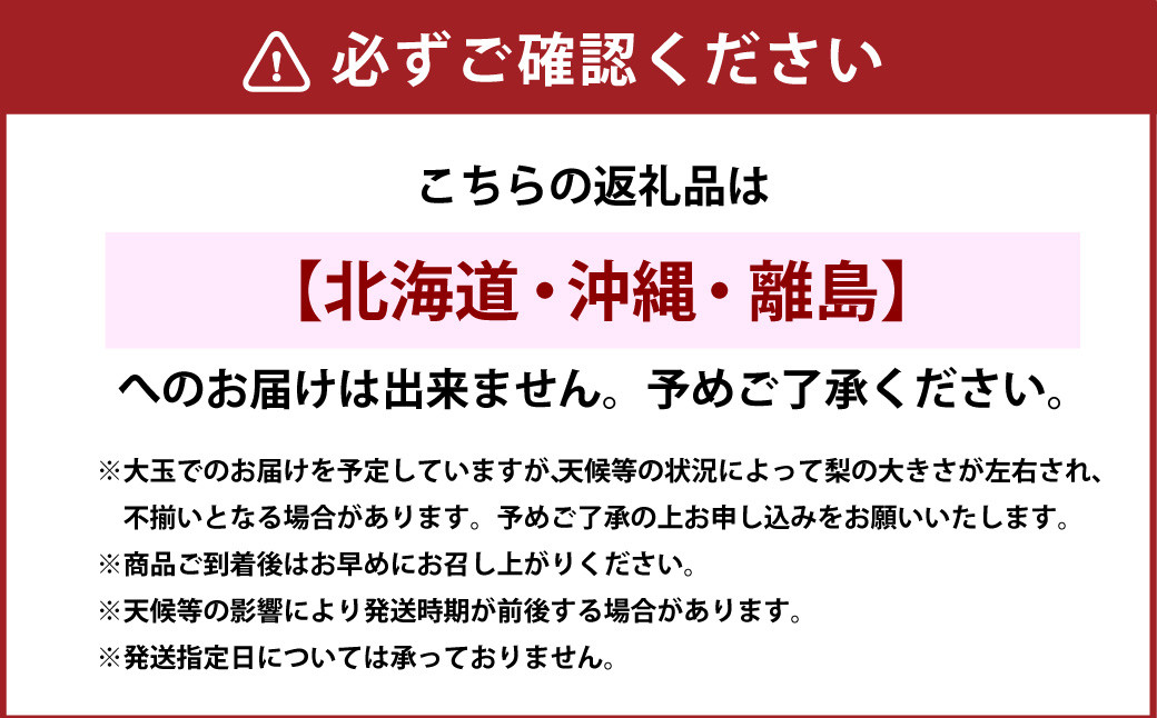 新高梨4kg（4～5玉）高知県産