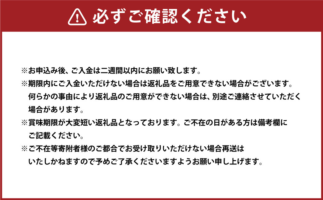 新高梨4kg（4～5玉）高知県産