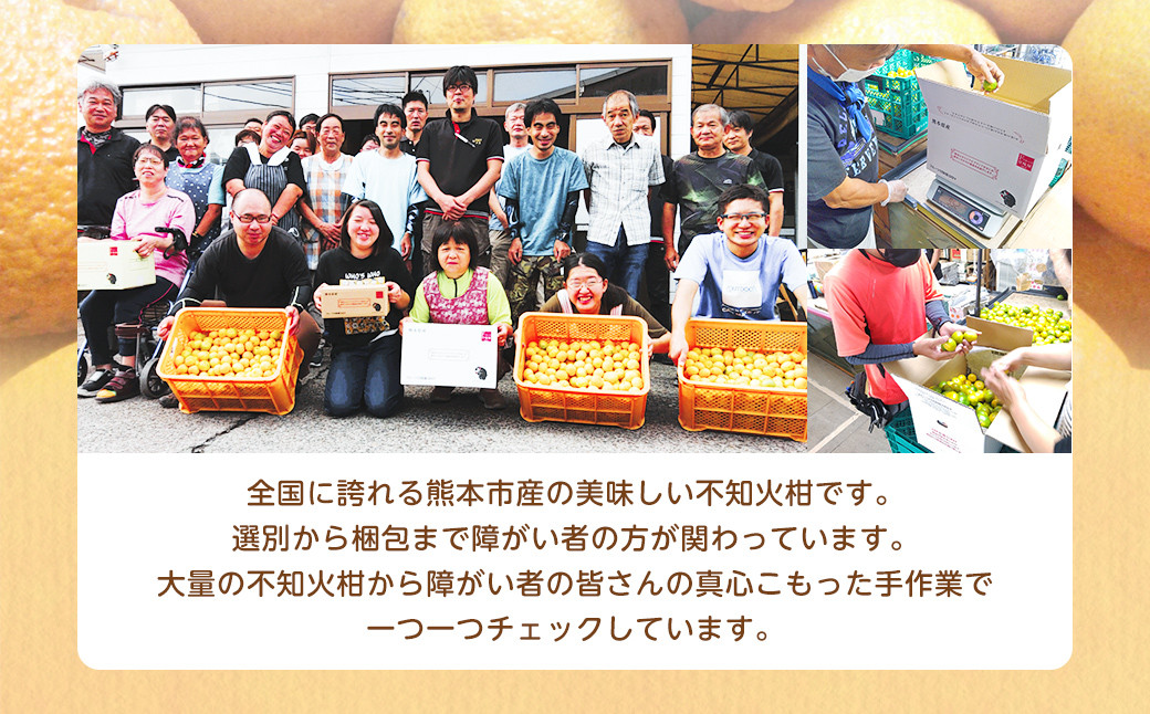 【規格外品】不知火 (デコポンと同品種) ご家庭用 10kg サイズ不選別