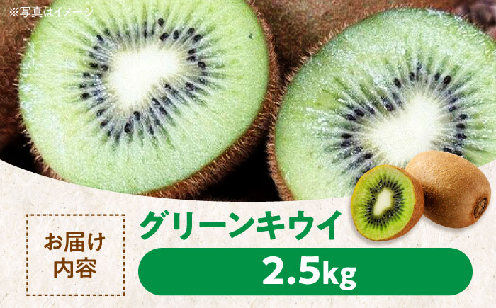 みかん ミカン キウイ 温州みかん グリーンキウイ フルーツ ギフト フルーツ セット 果物 詰め合わせ 贈答用 ギフト 贈り物