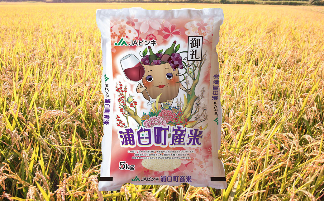 【2回定期便】浦臼産ゆめぴりか精白米10kg（5kg×2袋）