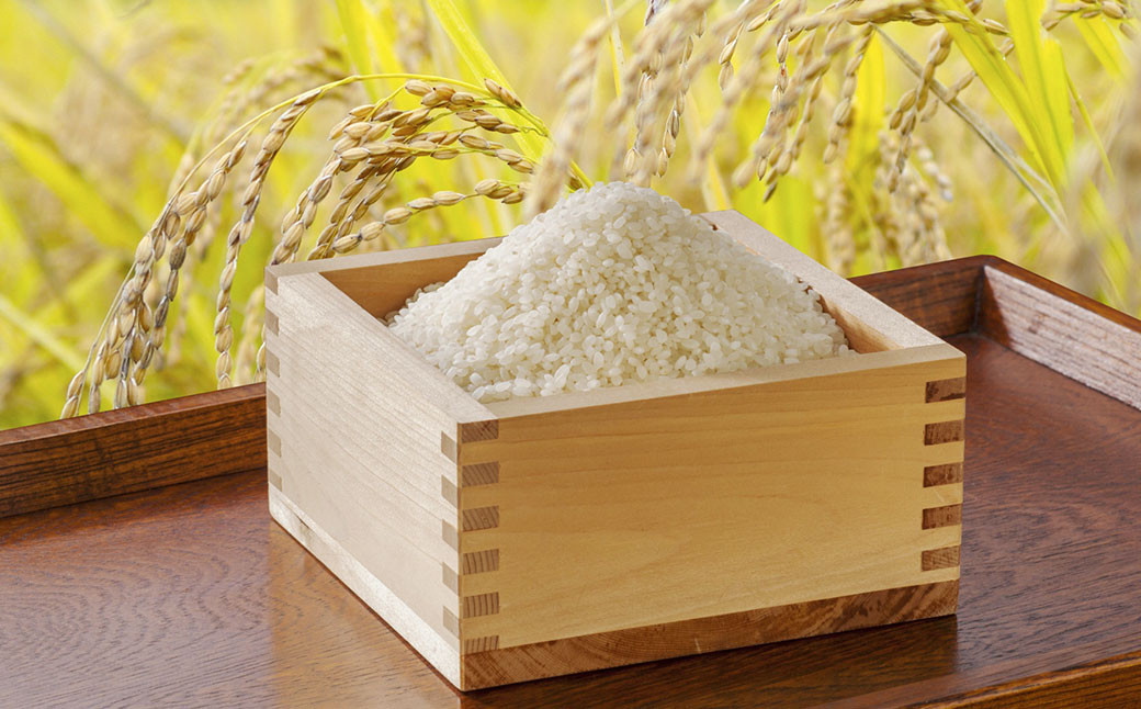 【2回定期便】浦臼産ゆめぴりか精白米10kg（5kg×2袋）