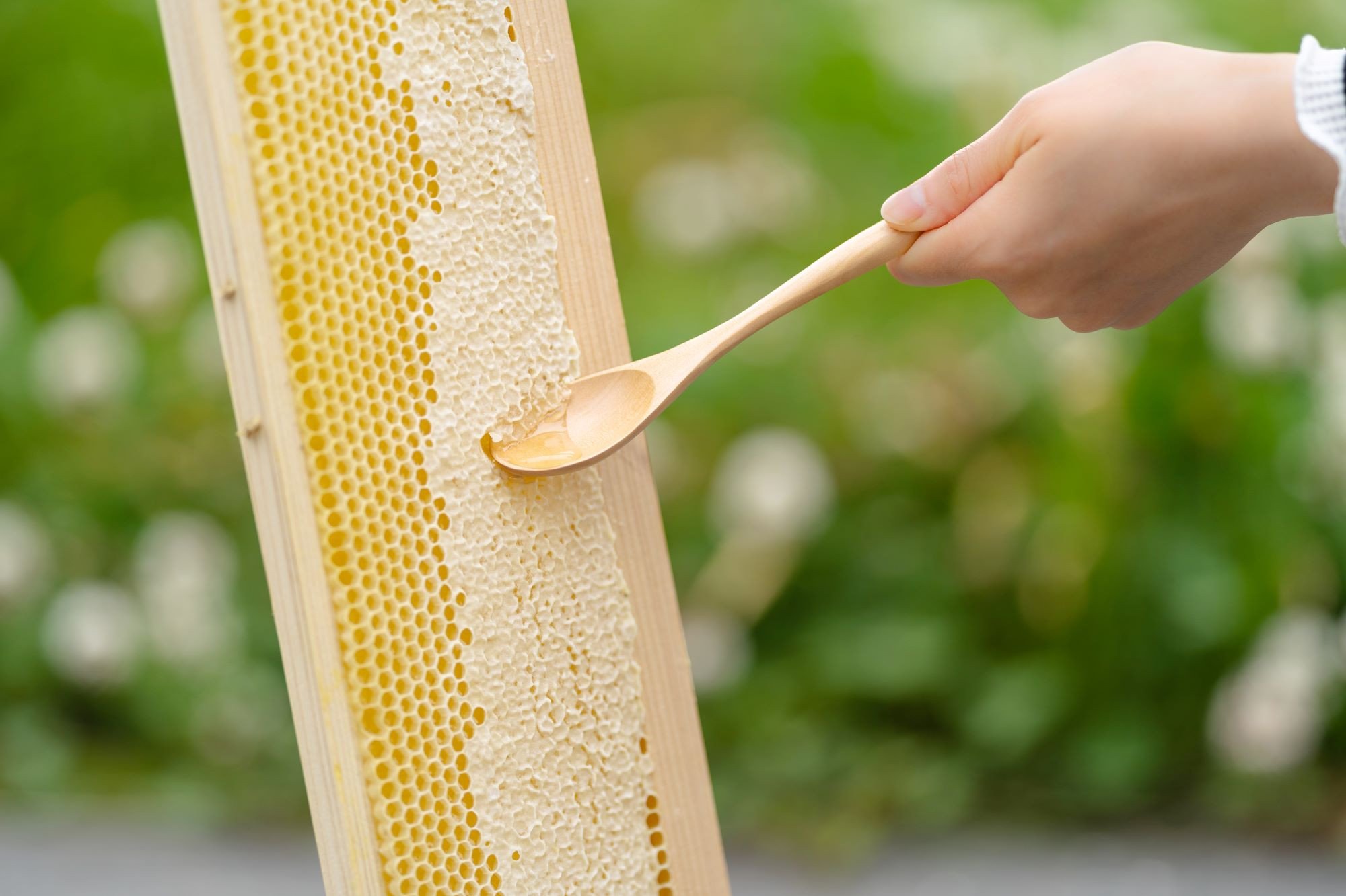 心を込めて一つひとつ丁寧に生産したはちみつをぜひお召し上がりください