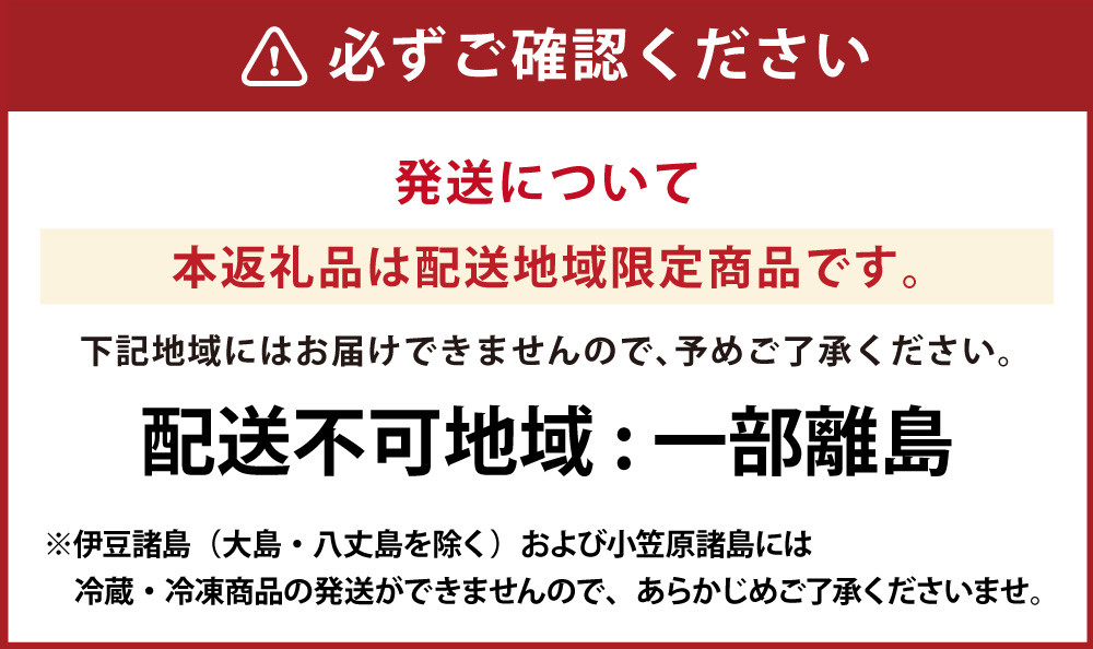 【全6回定期便】長崎皿うどん6食セット