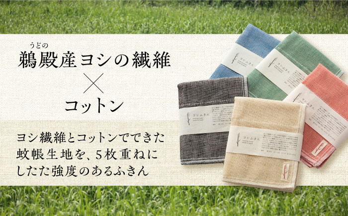 ふきん 台所用ふきん キッチンクロス 食器拭き 布巾 速乾 抗菌 清潔 手拭き用 吸水性抜群 洗濯可能 繰り返し使用 家庭用