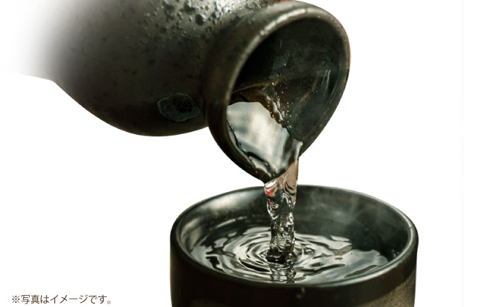 お酒 日本酒 地酒 純米酒 純米 大吟醸 天有酒星 ひやおろし ギフト 贈答用