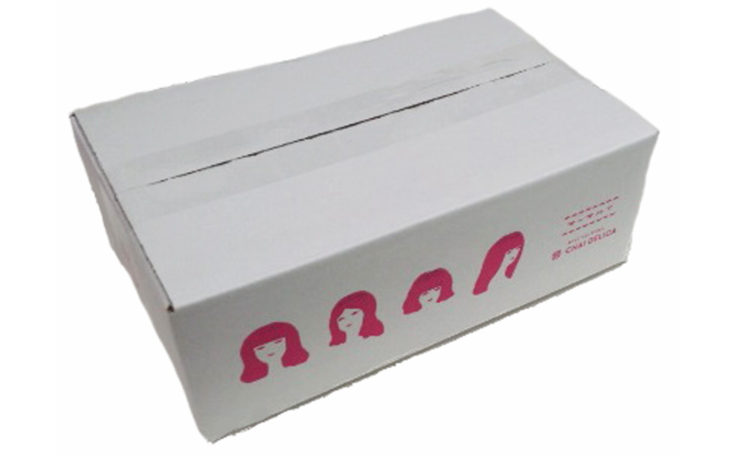 【全6回定期便】長崎ルーローハンの具(2食入) 計36袋 (6袋×6回)【チャイデリカ】