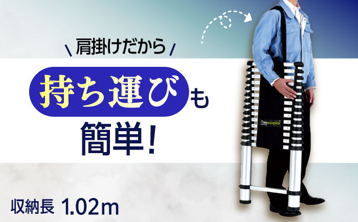 はしご 贈答 ギフト 産地直送 取り寄せ 送料無料 大阪