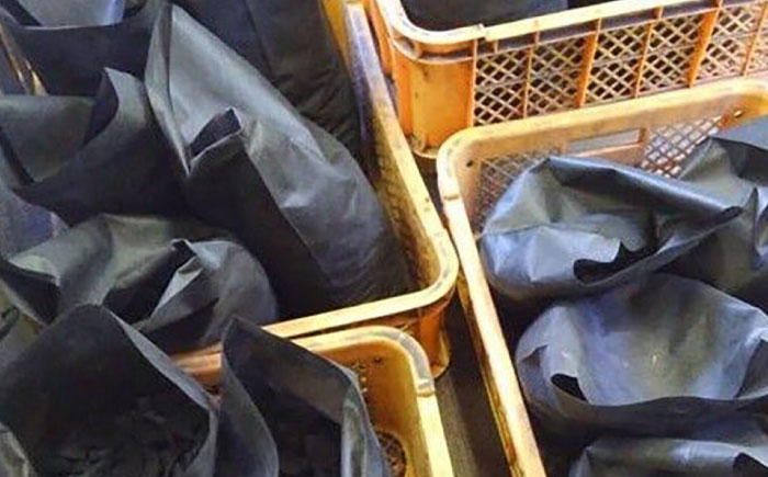 竹炭 贈答 ギフト 産地直送 取り寄せ 送料無料 大阪