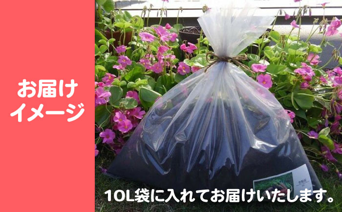 園芸 贈答 ギフト 産地直送 取り寄せ 送料無料 大阪
