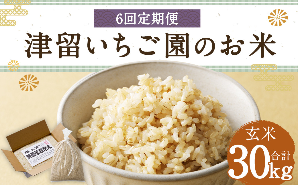 【6回定期便】津留いちご園のお米 玄米 農薬・化学肥料不使用(栽培期間中) 約5kg×6回