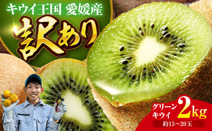 【訳あり】 グリーンキウイ 2kg （約15玉から20玉） 栄養たっぷり！