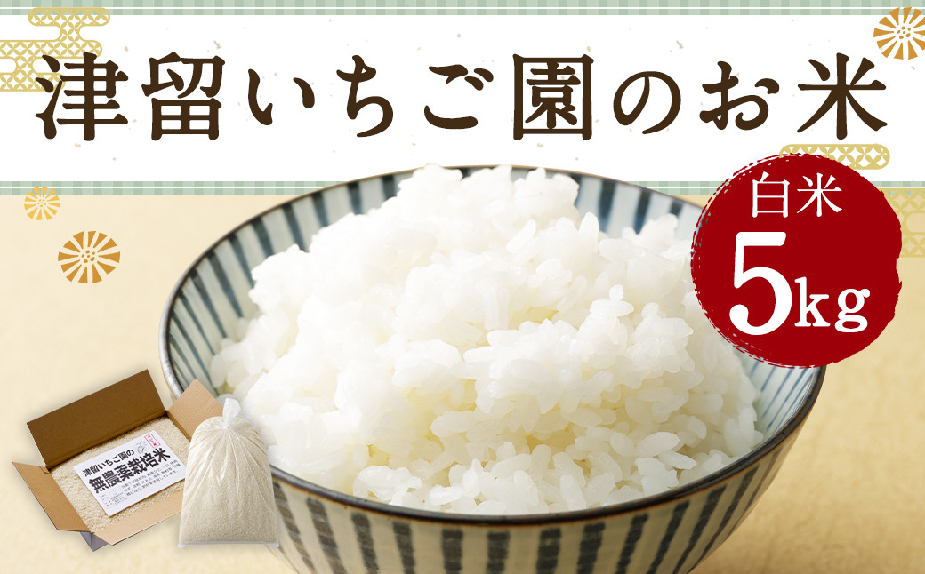 津留いちご園のお米 白米 農薬・化学肥料不使用（栽培期間中） 5kg