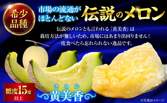メロン 希少品種 『黄美香（きみか）』 愛媛県大洲市