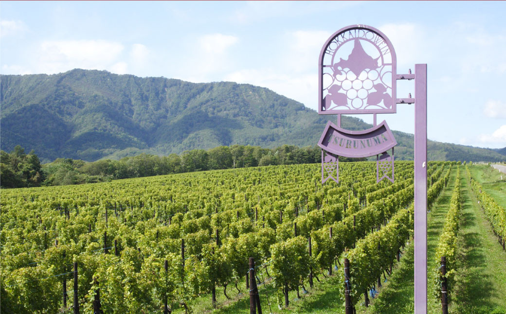 選べる！鶴沼収穫ワイン 3本セット 750ml×3本