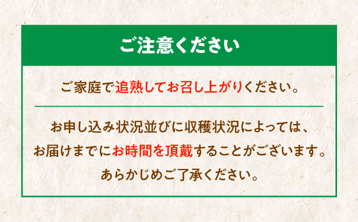 【訳あり】 グリーンキウイ 2kg （約15玉から20玉） 栄養たっぷり！