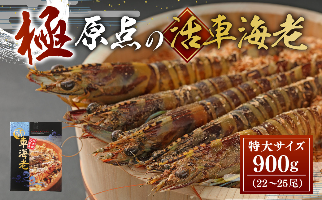 「極」原点の車海老 900g (22~25尾)