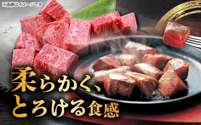 6回 定期便 飛騨牛 サイコロステーキ 部位 おまかせ 500g