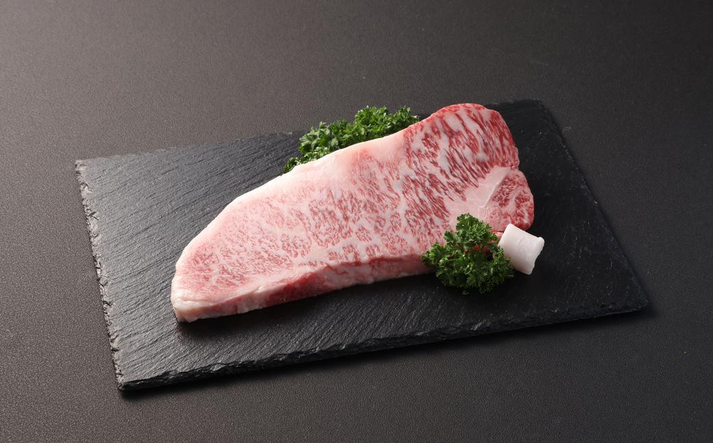 【全6回定期便】長崎和牛 食べ比べコース / ロース すき焼き サーロイン ステーキ