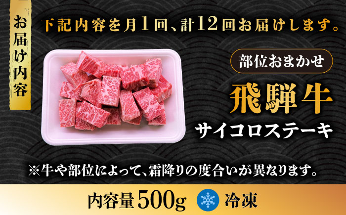 12回 定期便 飛騨牛 サイコロステーキ 部位 おまかせ 500g