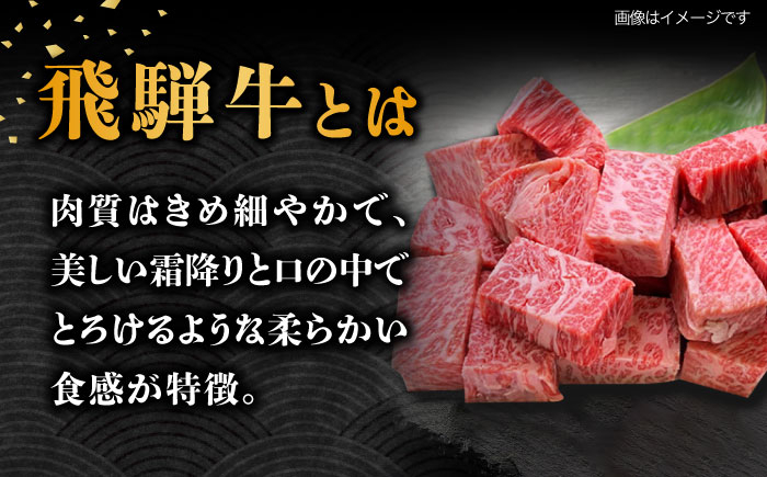 12回 定期便 飛騨牛 サイコロステーキ 部位 おまかせ 500g