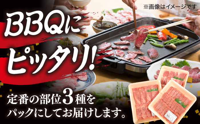 しまね和牛  肉 牛肉 和牛 黒毛和牛 国産和牛
