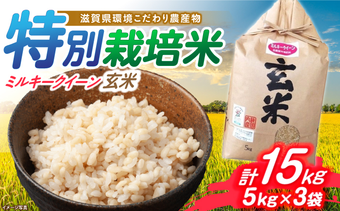 滋賀県 低農薬栽培 ミルキークイーン 玄米 5kg×3袋　米 お米 玄米  15kg 米 お米 ご飯 ごはん ゴハン