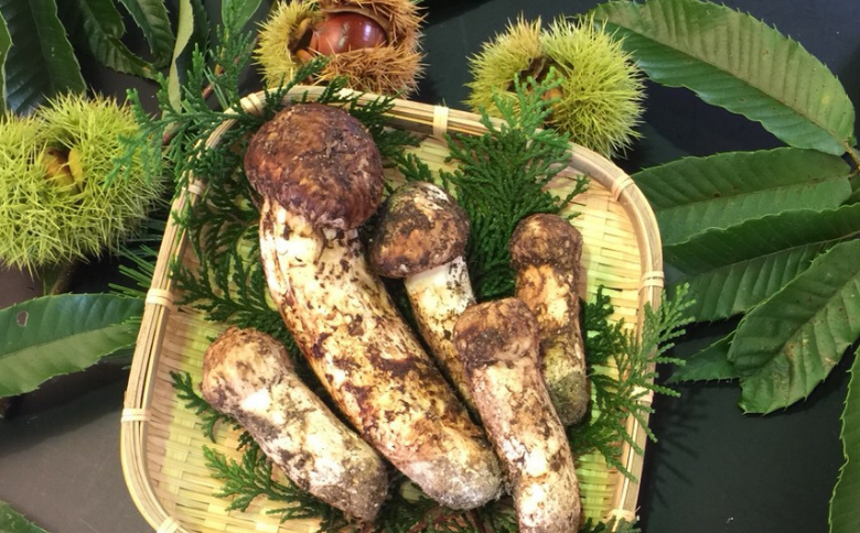 特級の松茸です