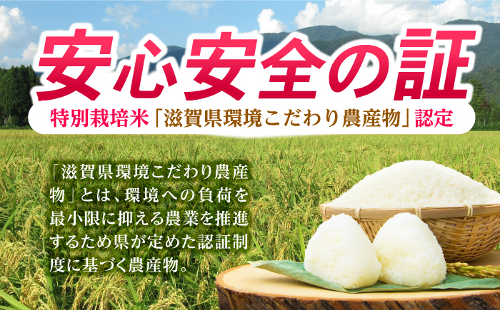 滋賀県 低農薬栽培 ミルキークイーン 白米 3kg 　米 お米 白米  3kg 米 お米 ご飯 ごはん ゴハン