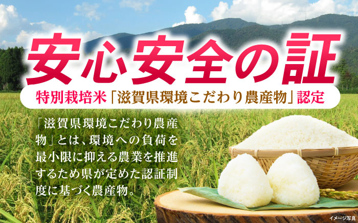 滋賀県産 低農薬有機肥料栽培 コシヒカリ 玄米5Kg 米 お米 玄米  5kg 米 お米 ご飯 ごはん ゴハン