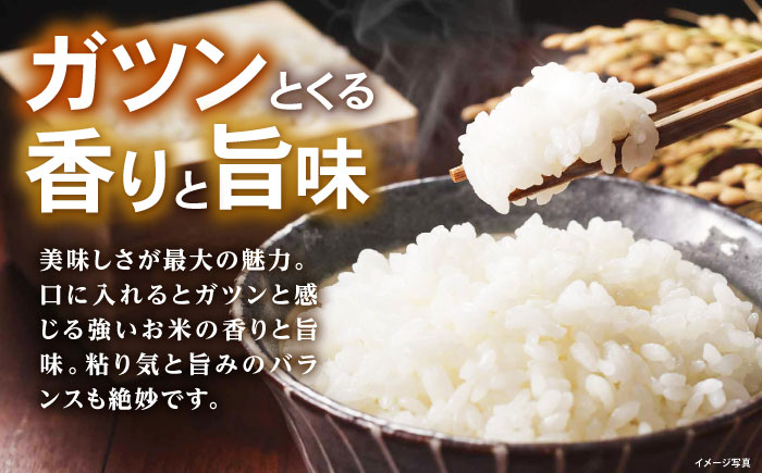 滋賀県産 JASオーガニック コシヒカリ 白米真空パック 5kg×2袋　米 お米 白米  10kg 米 お米 ご飯 ごはん