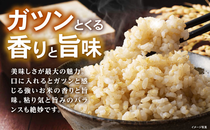 滋賀県産 JASオーガニック コシヒカリ 玄米 10kg×3袋　米 お米 玄米  30kg 米 お米 ご飯 ごはん 近江米