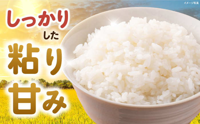 滋賀県 低農薬栽培 ミルキークイーン 白米 3kg 　米 お米 白米  3kg 米 お米 ご飯 ごはん ゴハン