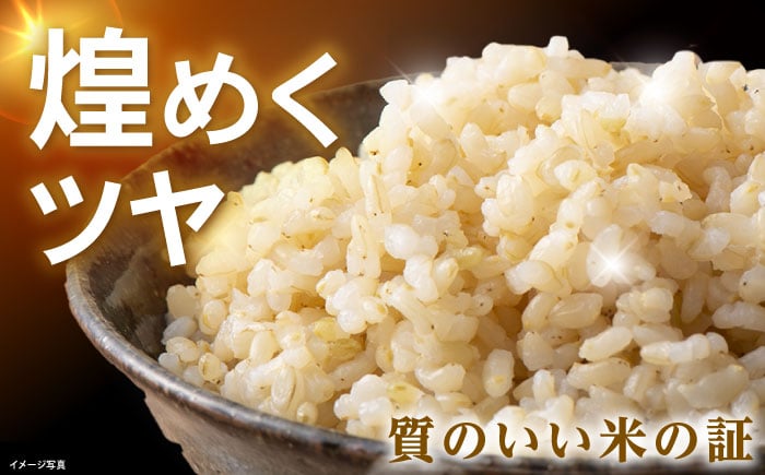 滋賀県産 JASオーガニック コシヒカリ 玄米 10kg 米 お米 玄米  10kg 米 お米 ご飯 ごはん ゴハン 近江米