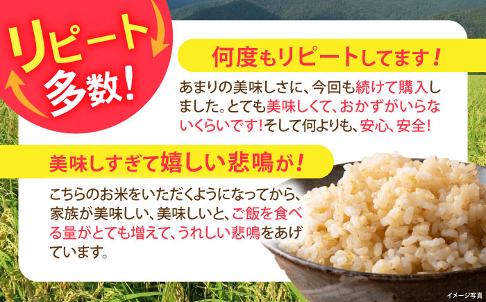 栽培期間中 農薬不使用 滋賀県産 特別栽培米 コシヒカリ 米 お米 玄米  15kg 米 お米 ご飯 ごはん ゴハン