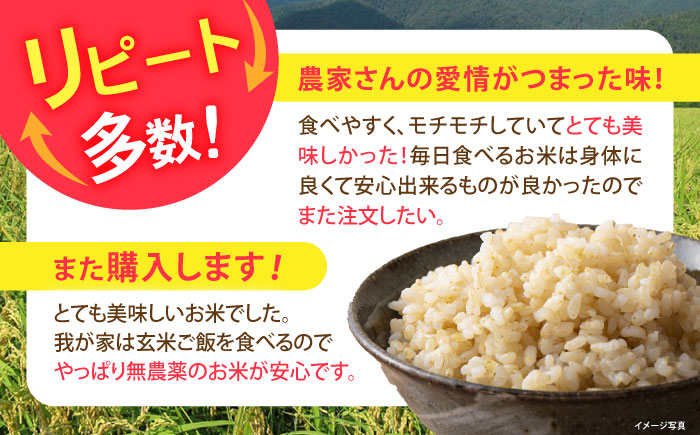 滋賀県産 JASオーガニック コシヒカリ 玄米 5kg　米 お米 玄米  5kg 米 お米 ご飯 ごはん ゴハン 近江米