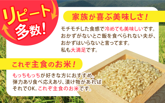 滋賀県 低農薬栽培 ミルキークイーン 玄米 5kg×3袋　米 お米 玄米  15kg 米 お米 ご飯 ごはん ゴハン
