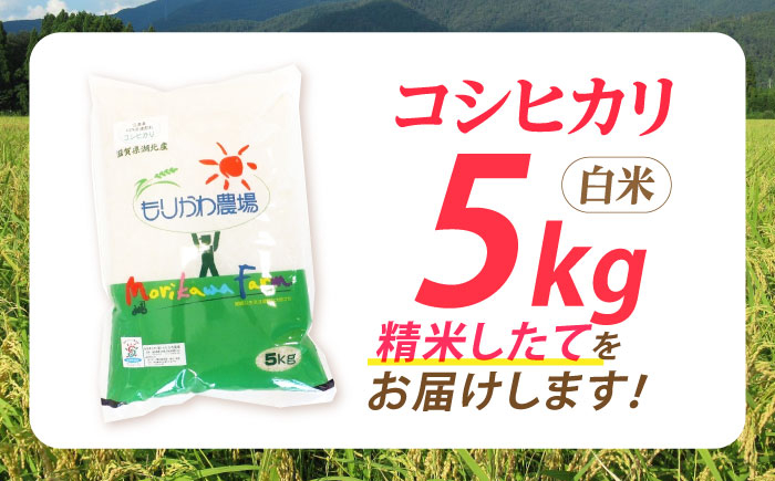 滋賀県産 低農薬有機肥料栽培 コシヒカリ 白米5Kg 米 お米 白米  5kg 米 お米 ご飯 ごはん ゴハン