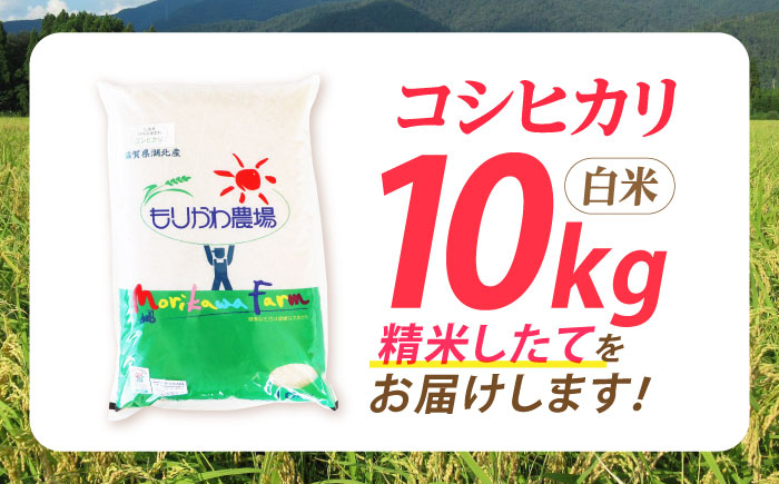 滋賀県産 低農薬 有機肥料栽培 コシヒカリ 白米 10Kg　米 お米 白米  10kg 米 お米 ご飯 ごはん ゴハン