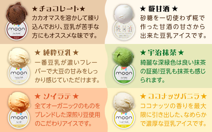 【全12回定期便】ムーン豆乳アイス詰合せ 12個セット |アイス アイスクリーム 濃厚 豆乳 人気 ギフト アレルギー対応