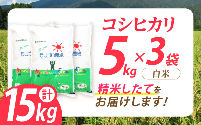 米 お米 白米  15kg 米 お米 ご飯 ごはん ゴハン