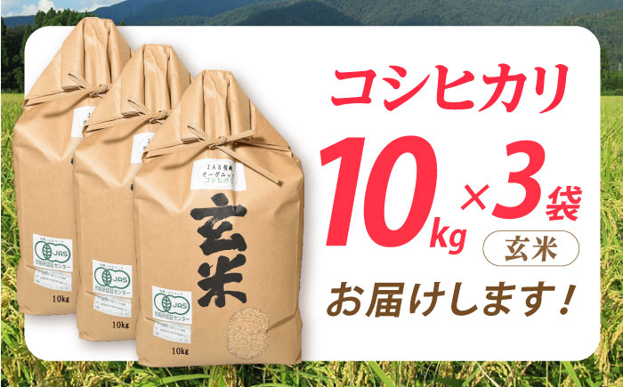 滋賀県産 JASオーガニック コシヒカリ 玄米 10kg×3袋　米 お米 玄米  30kg 米 お米 ご飯 ごはん 近江米