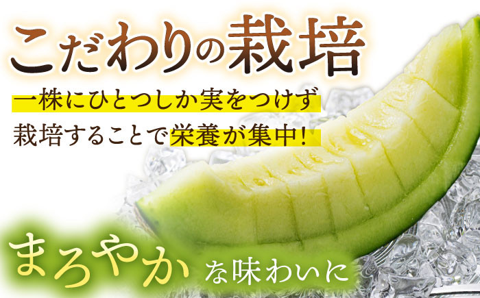 アールスメロン 2玉 約4kg メロン