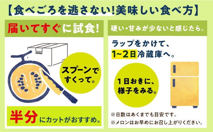 アールスメロン 2玉 約4kg メロン