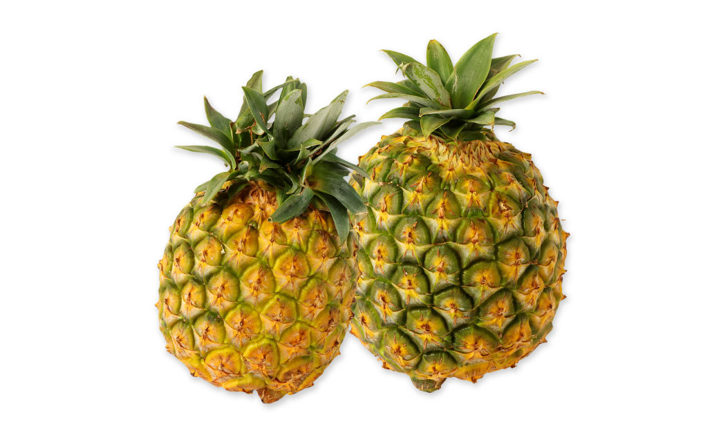 天城町産 林果樹園 パイン3kg（2玉～3玉）