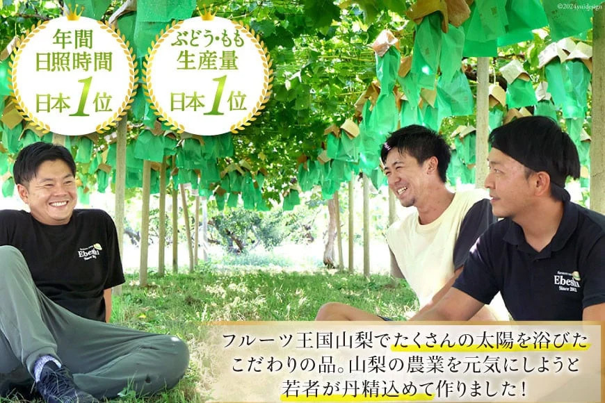 【3回 定期便 】山梨県産 フルーツ 『 桃 2kg & シャインマスカット 1.8kg & キウイフルーツ 1.5kg』