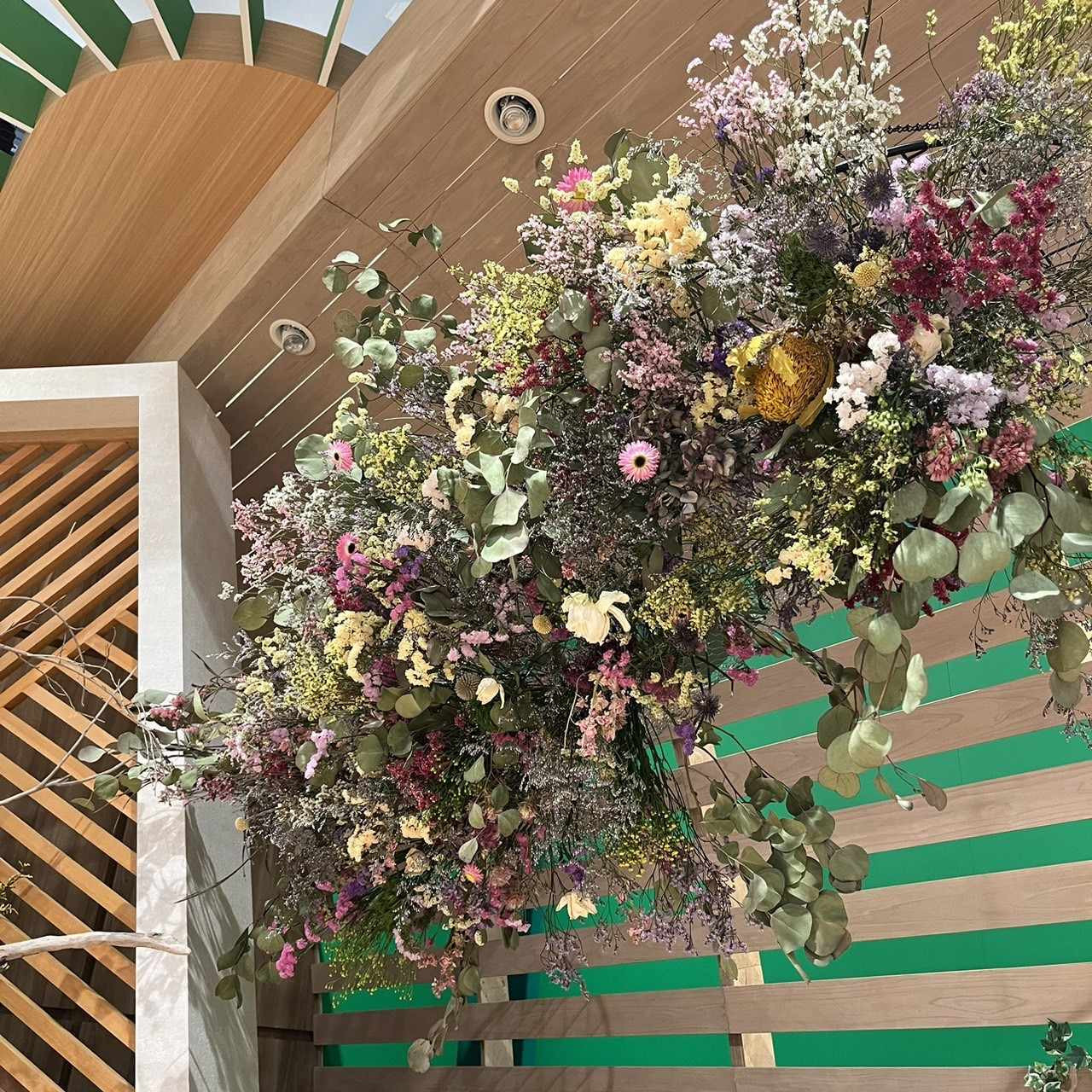 写真は一例です