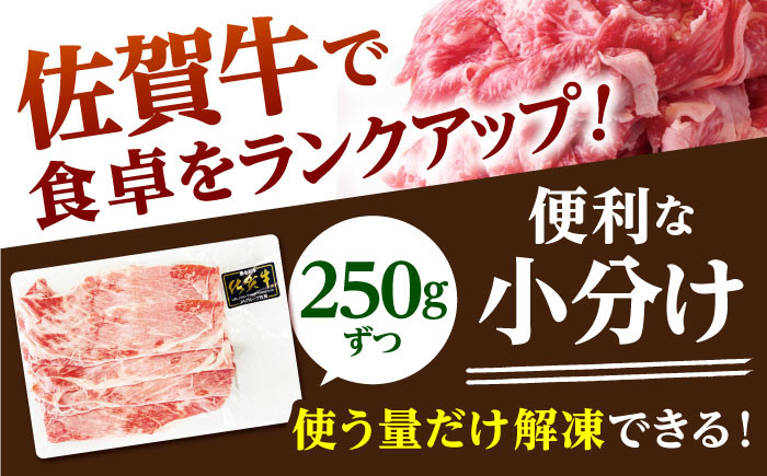 佐賀牛 切り落とし 500g  ( 250g×2パック ) 【山下牛舎】 [HAD152]